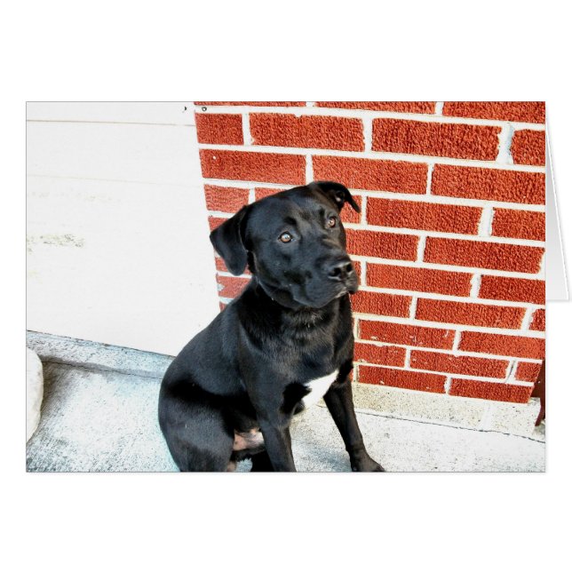 Souriez Pour Nous Minuit ! (Devant horizontal)