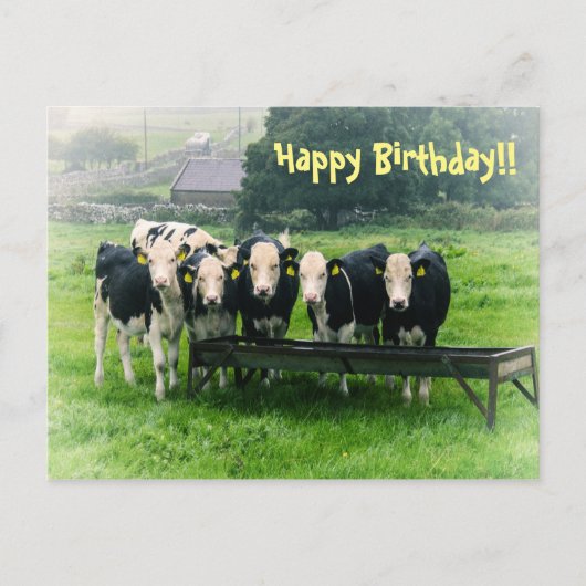 Souriez s'il vous plaît ! Vaches mignonnes Carte p (Devant)