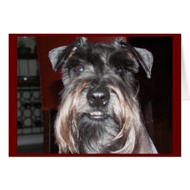 SOURIRE avec moi ! (Devant horizontal)