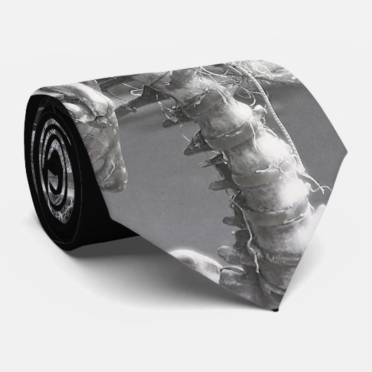 "Sourire ! ! ..... ? ?"  cravate (Roulé)