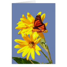 Sourire de papillon