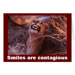 Sourire Lion Cub sourires sont contagieux
