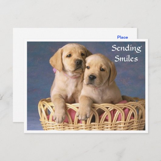 Sourires Bonjour Labrador Retriever Puppet carte p (Devant / Derrière)