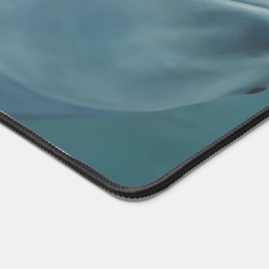 Sourires de dauphin (Coin)