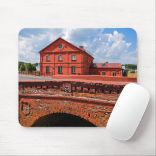 Souris Belarus Bélarus Orsha Орша Architecture Tapis de s