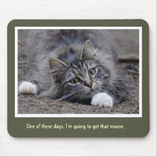 Souris Chat tigré drôle allant obtenir ce tapis de sour