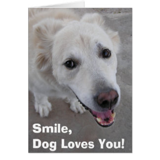 Souris, Chien T'Aime ! Carte