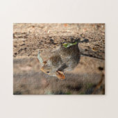 Souris dans le puzzle sauvage (Horizontal)