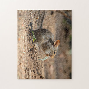Souris dans le puzzle sauvage