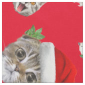 Souris de chat et tissu de noël (Fermer)