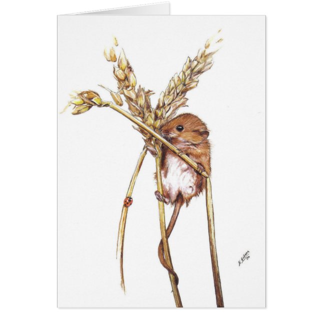 Souris de récolte (Devant)