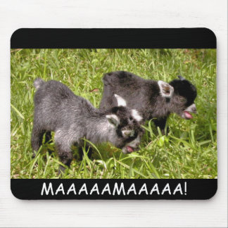 Souris Enfants pygméens de chèvre. MAAAAAMAAAAA ! tapis