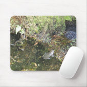 Souris Grenouilles et frai de grenouille dans un tapis de (Avec souris)