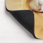 souris sur un tapis de souris (Coin)