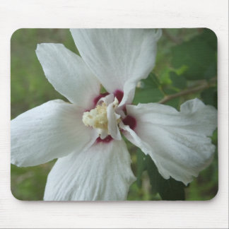 Souris Tapis de fleurs