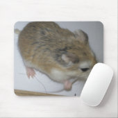 Souris Tapis de hamster (Avec souris)