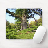 Souris Tapis de Moue d'arbre du Cèdre-de-Liban (Avec souris)
