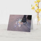 Souris vaillante de carte de Ferndale (Fleur jaune)