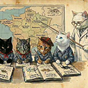 Sourisseries de France Regionale Expert Muis Voerbakje