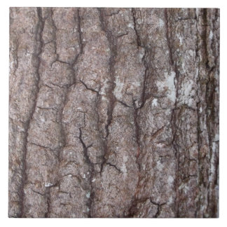 Sourwood Bark Tegeltje