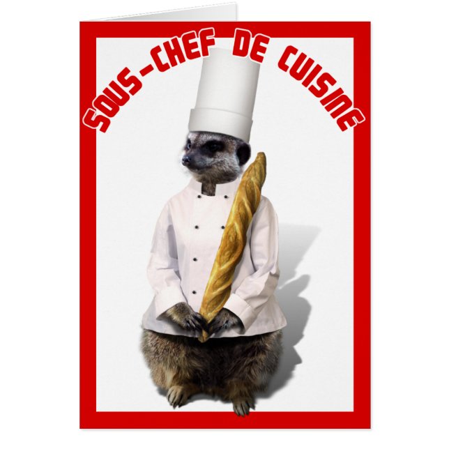 SOUS - CHEF DE CUISINE (Devant)