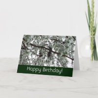 Sous la carte d'anniversaire du pin couvert de nei