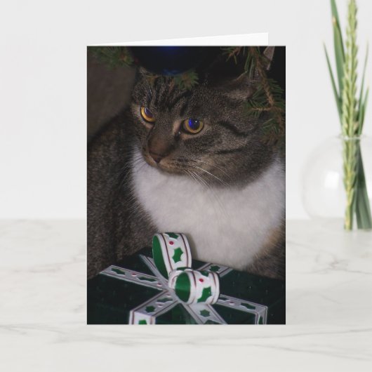 Sous la carte de chat d'arbre de Noël (Devant)