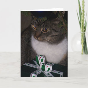 Sous la carte de chat d'arbre de Noël