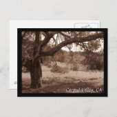 Sous la carte postale de Oaks (Devant / Derrière)