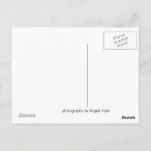 Sous la carte postale de Oaks (Dos)