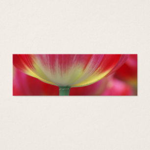 sous la jupe de tulipes