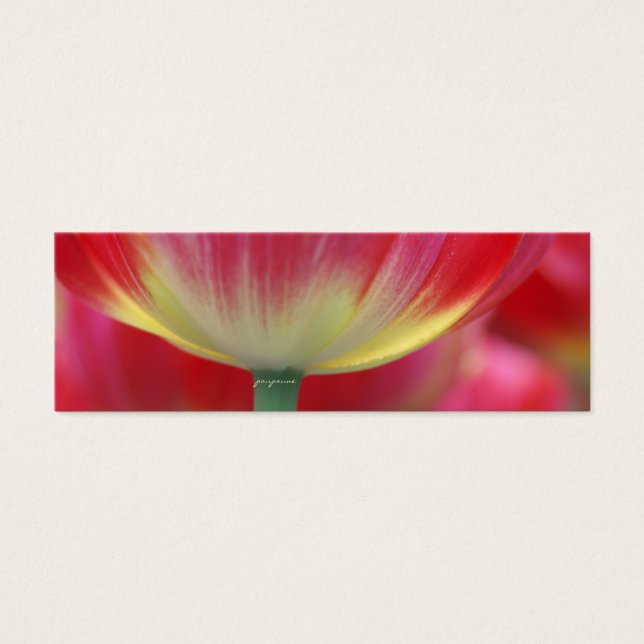 sous la jupe de tulipes (Devant)