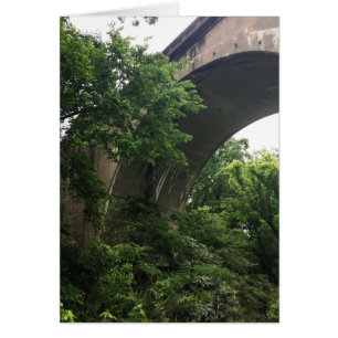 sous le pont
