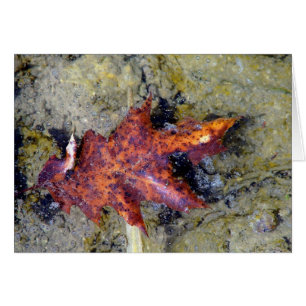Sous l'eau