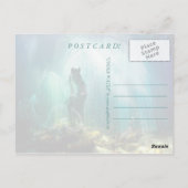 Sous l'eau - Carte postale (Dos)