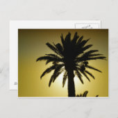 Sous les palmiers briefkaart (Voorkant / Achterkant)