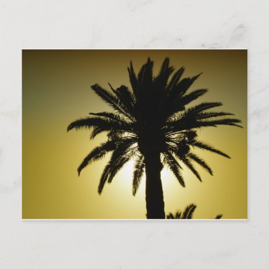 Sous les palmiers briefkaart (Voorkant)