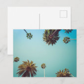 Sous les paumes, carte postale voyage photo (Devant / Derrière)