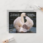 Sous ses ailes cygne portant la carte de cygnet (Devant/Arrière en situation)