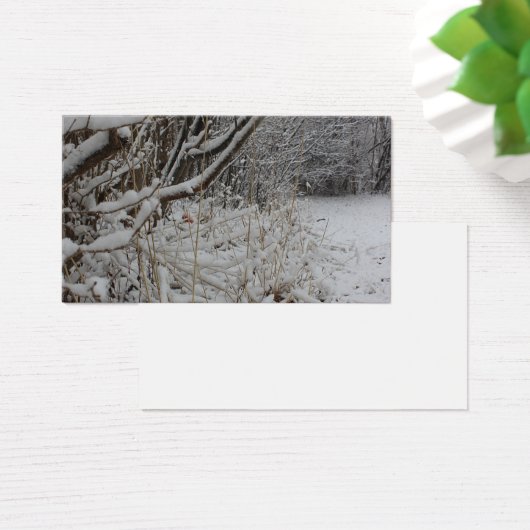 Sous une couverture de neige (Bureau)