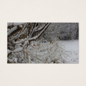 Sous une couverture de neige (Devant)