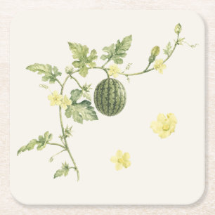 Sous-verre en papier à motif de vigne de pastèque
