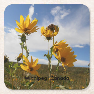 Sous-verre en papier Prairie Sunset
