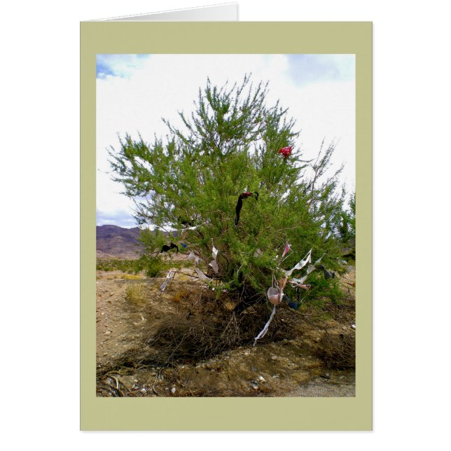 Sous-vêtements Bra Bush (Devant)