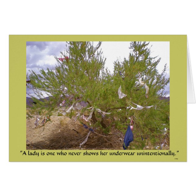 Sous-vêtements indésirables (Devant horizontal)