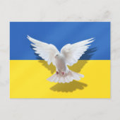 Soutenez l'Ukraine Carte postale Peace Dove Freedo (Devant)