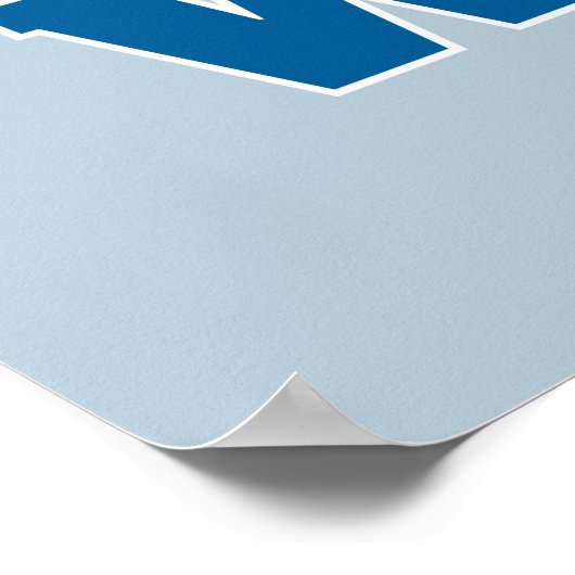 Soutenez l'USPS ! Poster (Coin)