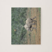 South Africa, Addo Elephant Nat'l Park. Baby Legpuzzel (Verticaal)