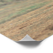 South Africa, Addo Elephant Nat'l Park. Baby Poster (Hoek)