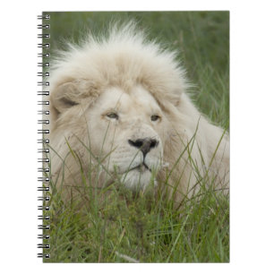 South Africa, East London, Inkwenkwezi Private Notitieboek